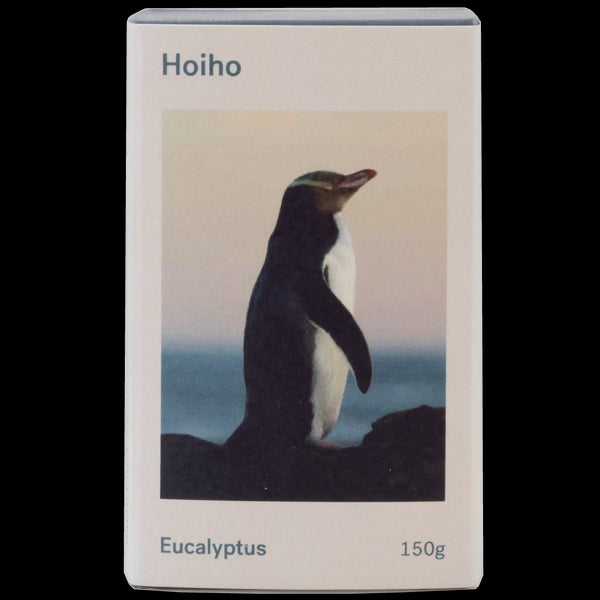 GoodFor Hand & Body Soap - Eucalyptus & Charcoal